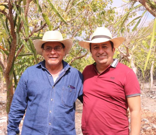 José Manuel y Pepe Cruz