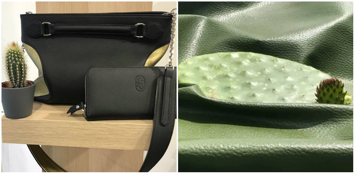 Confecciones con piel de nopal - Solesteview