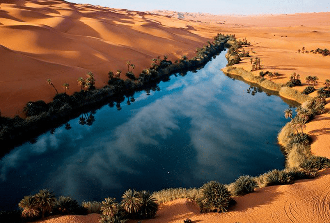 oasis sahara