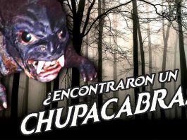 el chupacabras p