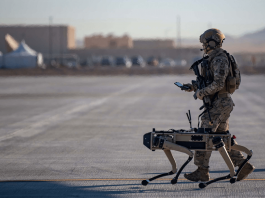 Perros robots P