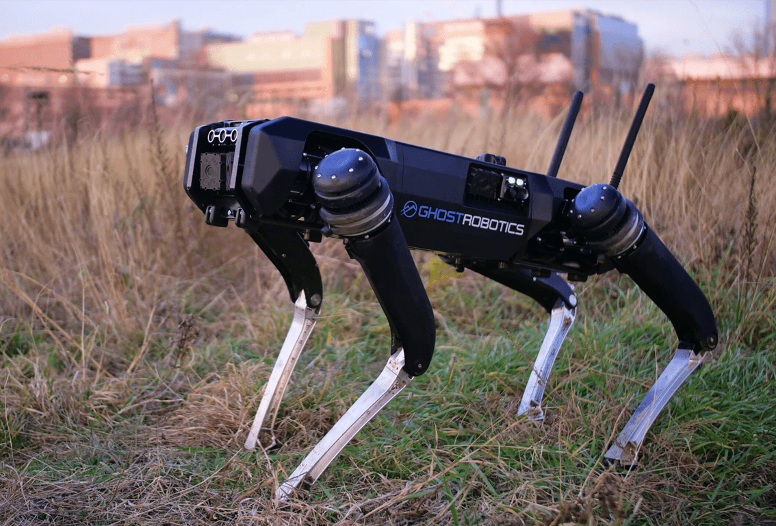 Perros robots 2