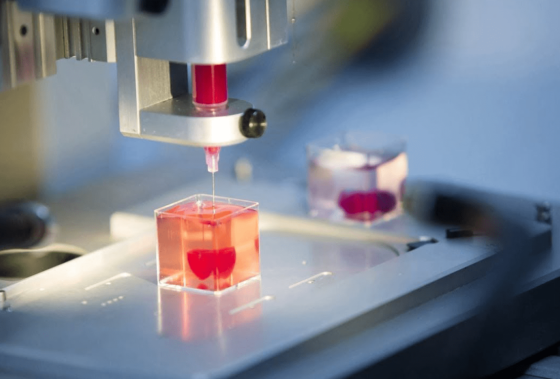 Bioimpresión en 3D 1