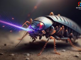 laser para acabar las cucarachas P