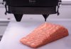 Imprimen salmón en 3D