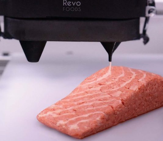 Imprimen salmón en 3D